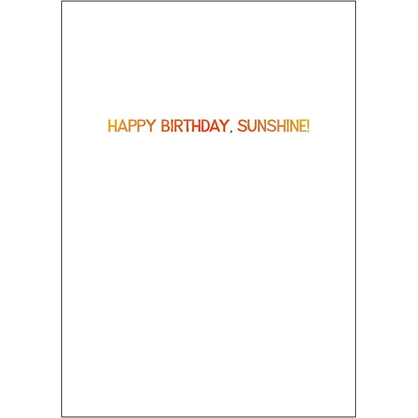 Sellers Publishing Birthday B11884W verjaardagskaarten kat 4 stuks