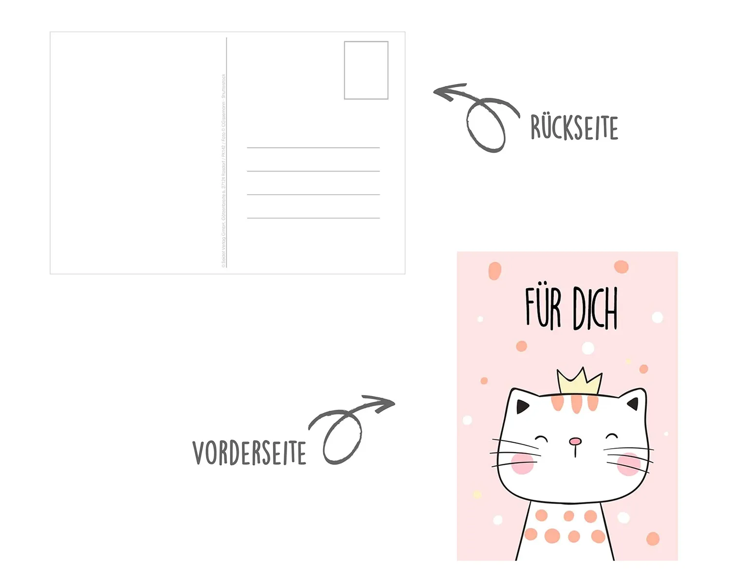 Edition Seidel 20557 postkaarten dieren set 25 kat hond