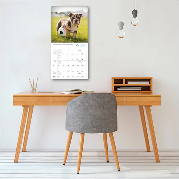Sellers Publishing Dogma wandkalender 2027 honden