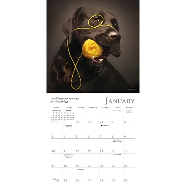 Sellers Publishing Dogma 2027 mini kalender honden