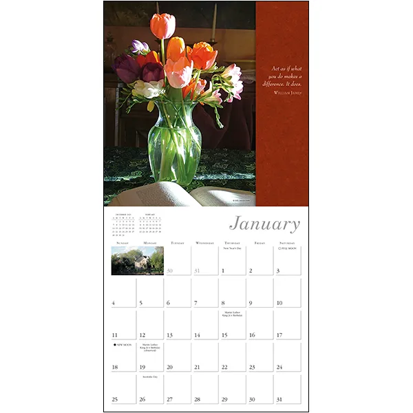 Sellers Publishing Simplicity 2027 wandkalender foto's