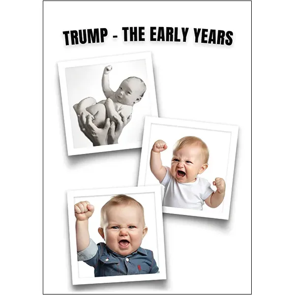 Sellers Publishing Birthday B13394 verjaardagskaarten 6 stuks humor