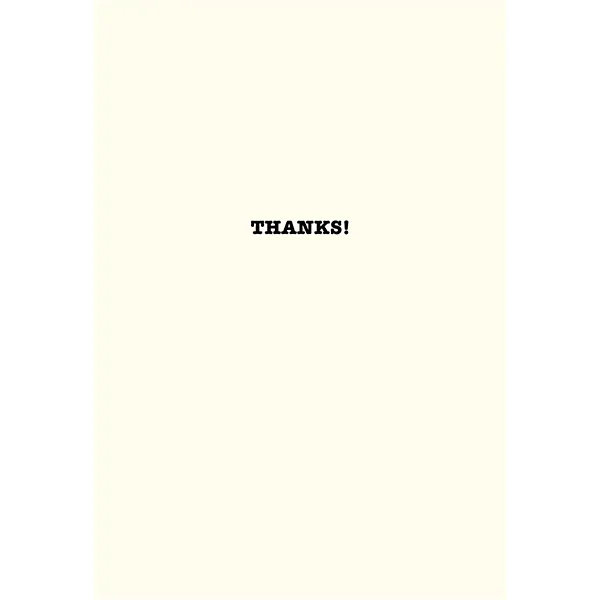 Sellers Publishing Thank You T2985A bedankkaarten 6 stuks thanks