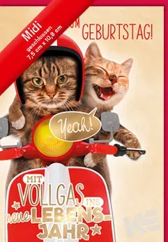 Kurt Eulzer 45-5102 midi wenskaart verjaardag katten mofa
