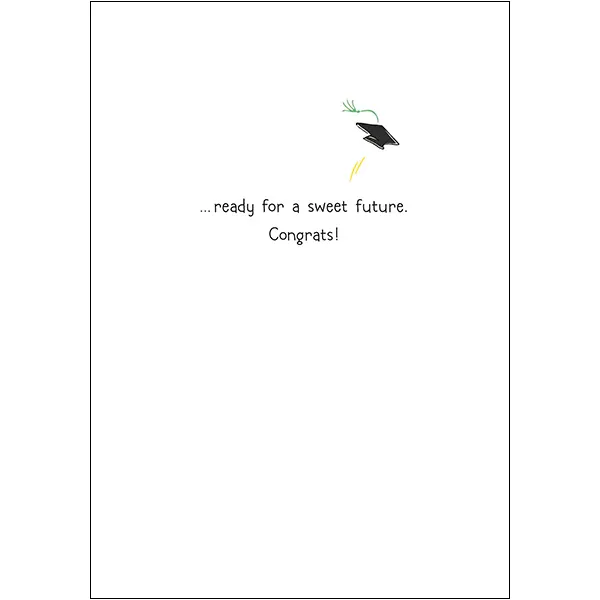 Sellers Publishing Graduation G12864 wenskaarten 4 stuks geslaagd
