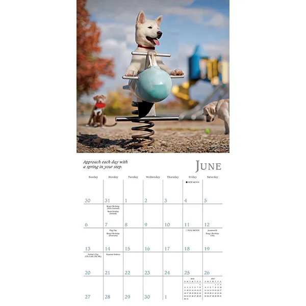 Sellers Publishing Dogma 2027 mini kalender honden