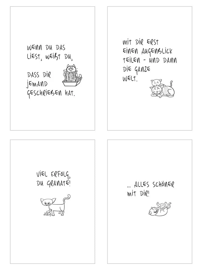 Edition Seidel 23001 ansichtkaarten grappige katten 20 stuks