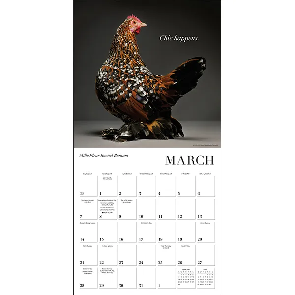 Sellers Publishing Glamour Chicks 2027 wandkalender kippen