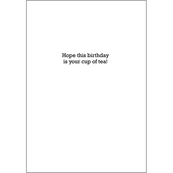 Sellers Publishing Birthday Humor B8600 verjaardagskaarten 6-pack grappig