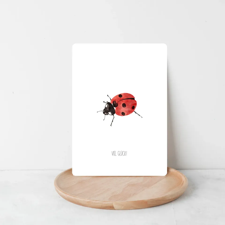 Lilly Braun Marienkäfer 5101 postkaart lieveheersbeestje