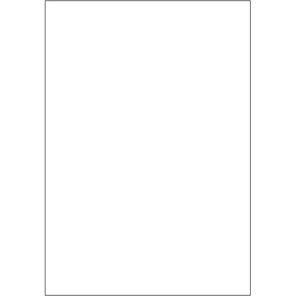 Sellers Publishing Blank Notes NT4932 blanco kaarten 6 stuks