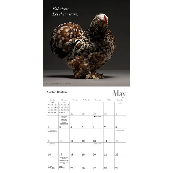 Glamour Chicks 2027 minikalender kippen mini