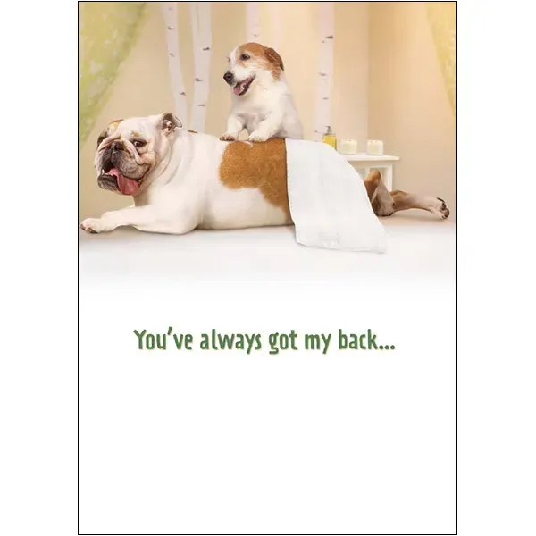 Sellers Publishing Special Friend B12489A verjaardagskaart 6 stuks