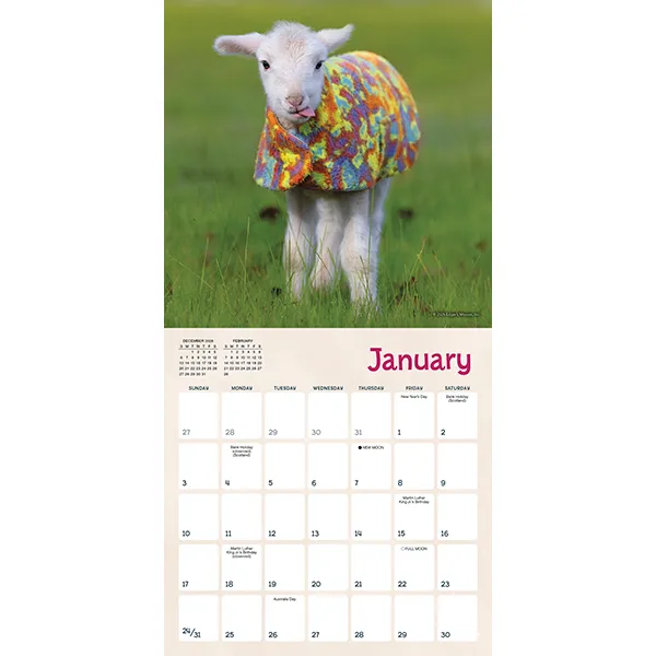 Sellers Publishing Lambies in Jammies 2027 minikalender lammetjes
