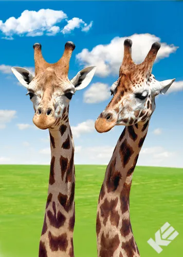 Kurt Eulzer 30-2345 3D-kaart giraffe per stuk