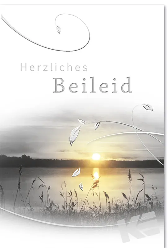 Kurt Eulzer 81-1186 condoleancekaart zonsondergang
