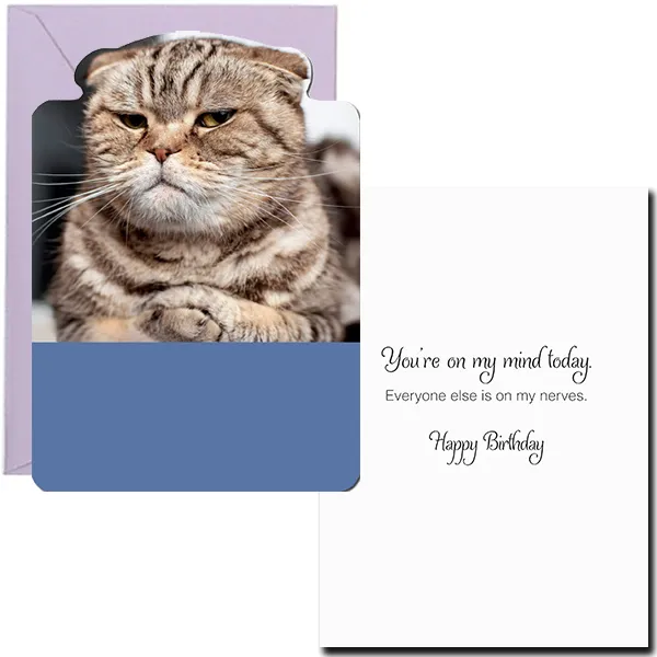 Sellers Publishing Birthday Humor B7467S verjaardagskaarten 6 stuks