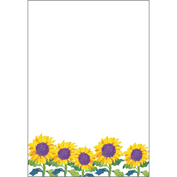 Sellers Publishing NT12001S blanco kaarten 6 stuks