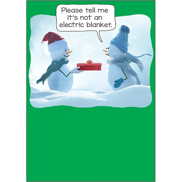 Sellers Publishing Christmas Humor C12588 kerstkaarten 4 stuks