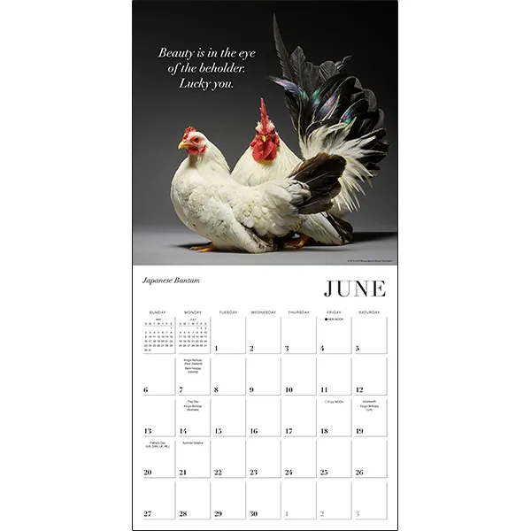 Sellers Publishing Glamour Chicks 2027 wandkalender kippen