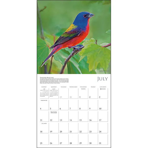 Sellers Publishing Songbirds of North America 2027 wandkalender