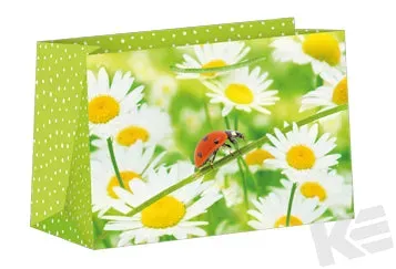 Kurt Eulzer 06-0541 geschenktasje madelief lieveheersbeestje