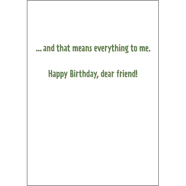 Sellers Publishing Special Friend B12489A verjaardagskaart 6 stuks