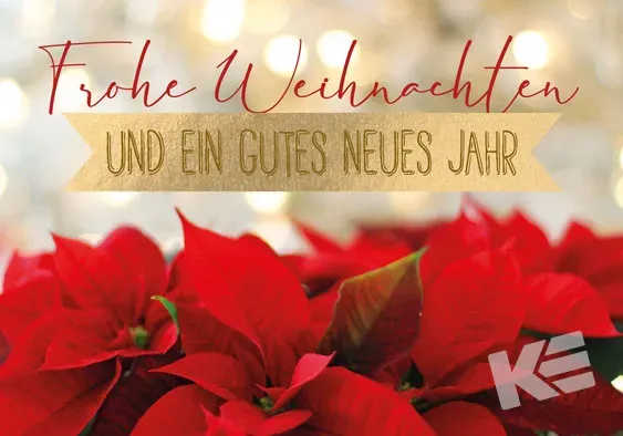 Kurt Eulzer 20-0052 kerstkaart kerstster reliëf per stuk