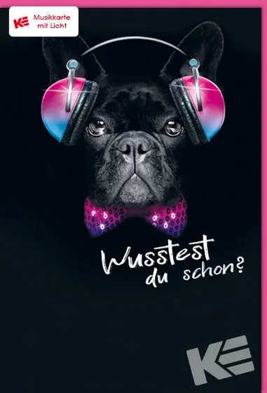 Kurt Eulzer 87-5055 muziekkaart licht hond Forever Young