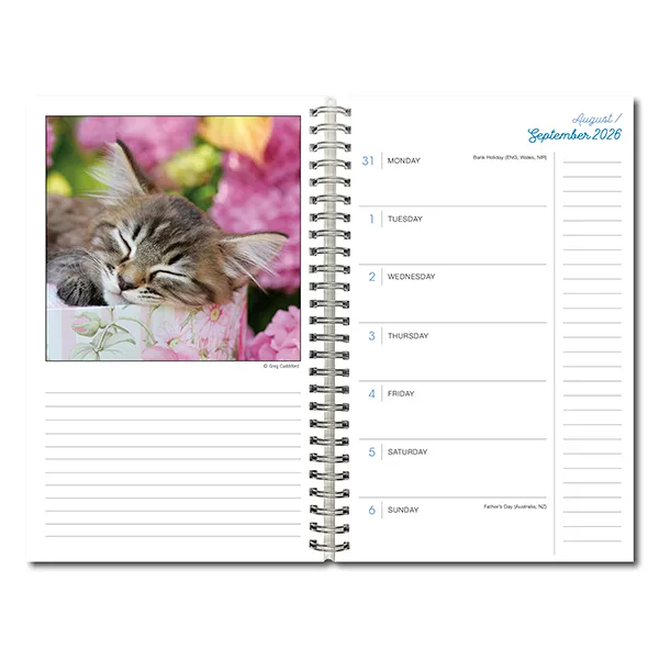 Sellers Publishing Cat Naps 2027 weekplanner katten