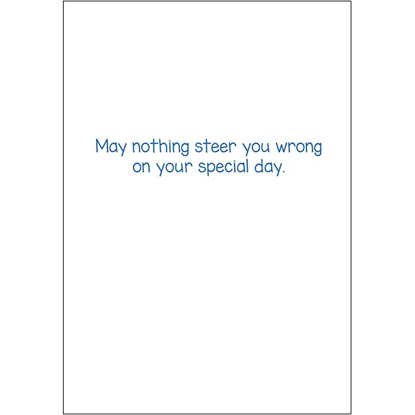 Sellers Publishing Birthday Humor B7707A verjaardagskaarten 6 stuks koe