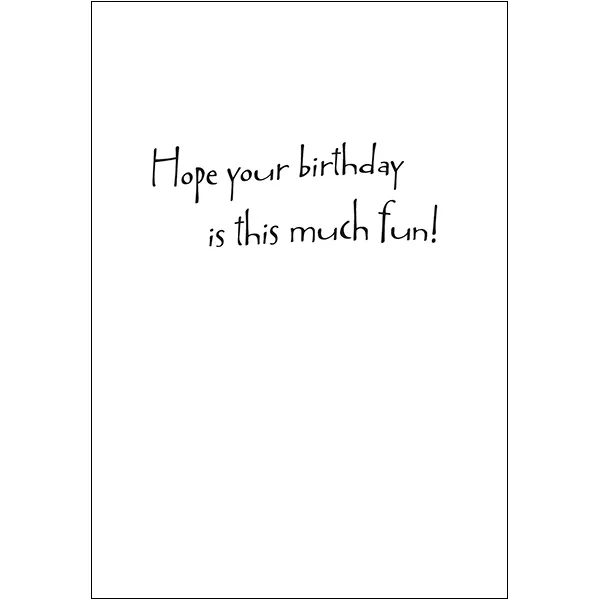 Sellers Publishing Birthday Humor B5741S wenskaarten 6 stuks humor