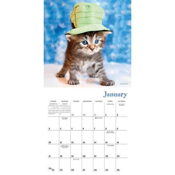 Sellers Publishing Cats In Hats 2027 minikalender katten