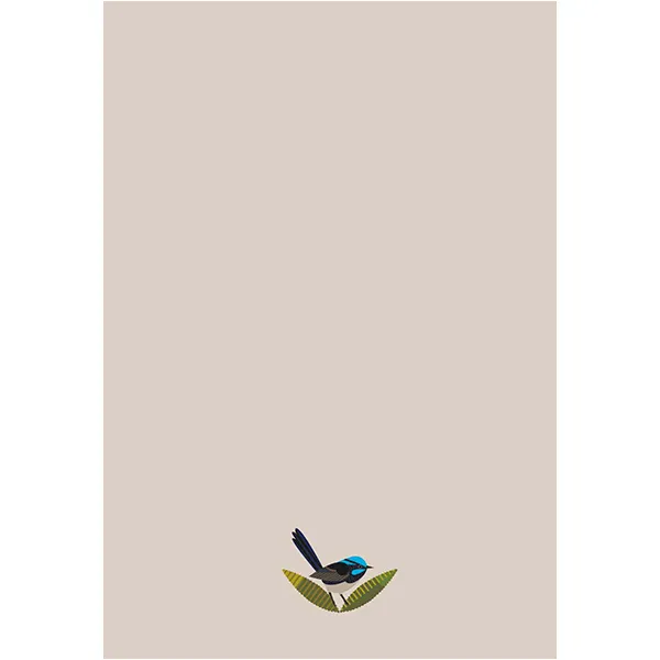 Sellers Publishing Blank Notes NT4933A wenskaarten 6 stuks blanco