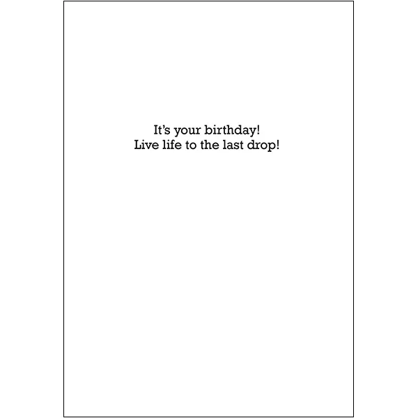 Sellers Publishing Birthday Humor B7724A verjaardagskaarten 6 stuks grappig