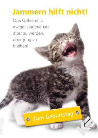 Kurt Eulzer 30-1509 katten wenskaarten 10 stuks kat