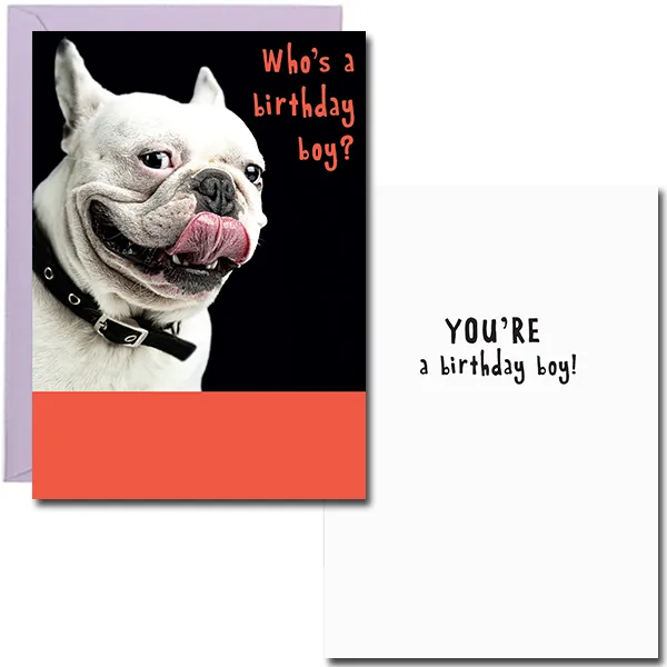 Sellers Publishing Birthday B7224D verjaardagskaart voor hem