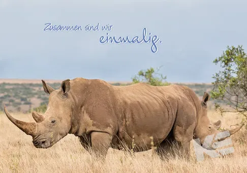 Kurt Eulzer Comedy Wildlife 30-1591 wenskaart neushoorn 10 stuks