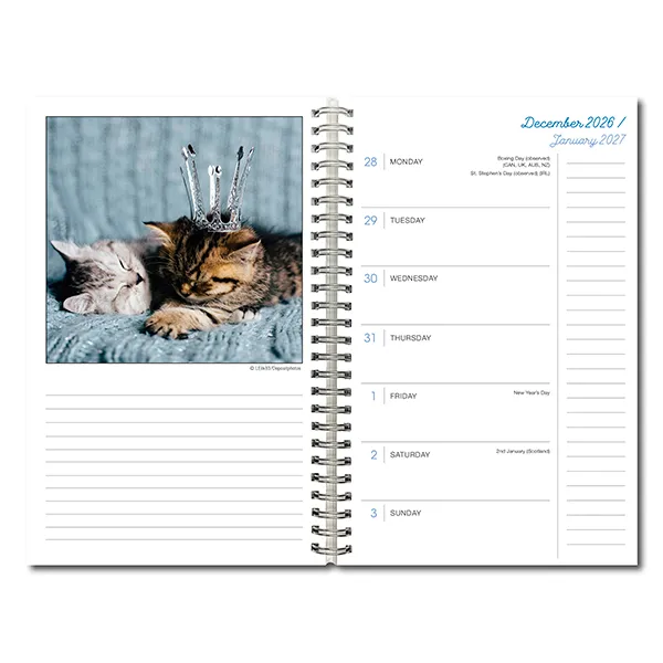 Sellers Publishing Cat Naps 2027 weekplanner katten