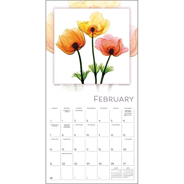 Sellers Publishing Flower Spirits 2027 wandkalender bloemen