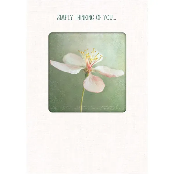 Sellers Publishing Thinking of You TOY5106A wenskaarten 6 stuks