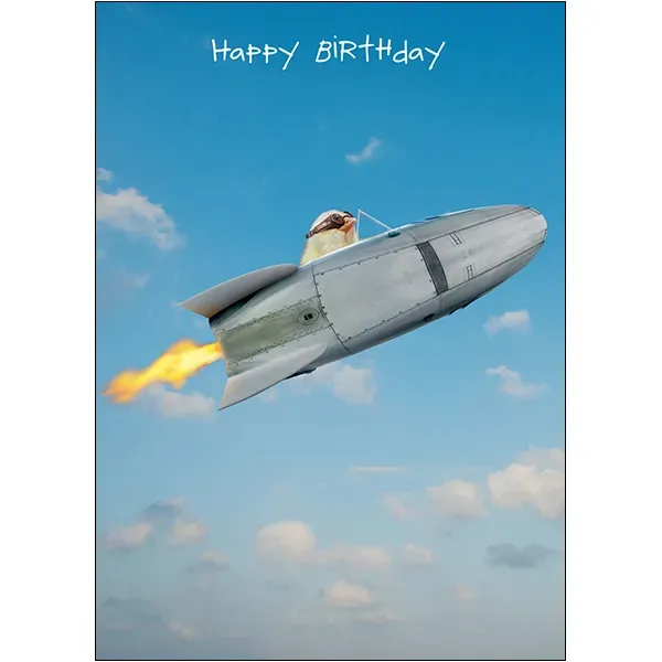 Sellers Publishing Birthday Humor B13114 verjaardagskaarten 6 stuks