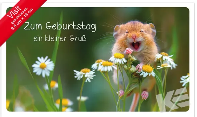 Kurt Eulzer 51-10080 verjaardagskaart Muis bloemen