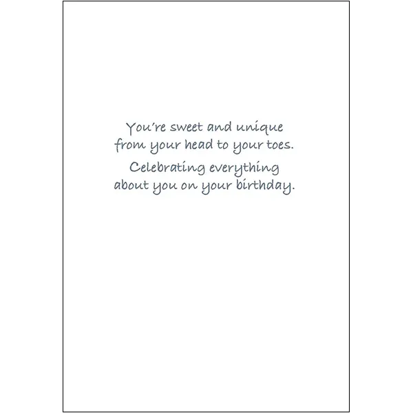 Sellers Publishing Birthday B12104 verjaardagskaart 6 stuks blanco