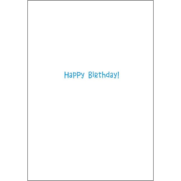 Sellers Publishing Birthday B12451 kaarten 6 stuks licht