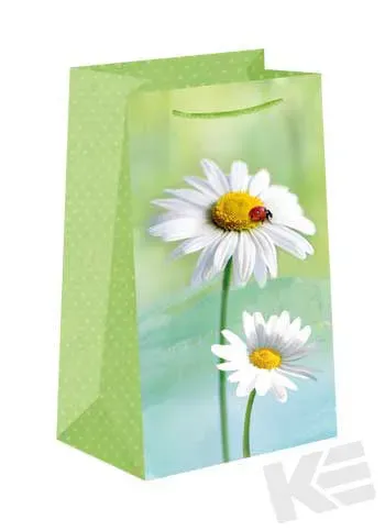 Kurt Eulzer 06-0597 geschenktasje madelief klein 11x20x9 cm
