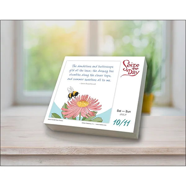 Sellers Publishing Seize the Day dagkalender 2027 inspiratie