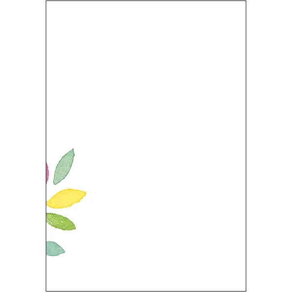 Sellers Publishing Blank Notes NT4907S wenskaarten set van 6 blanco