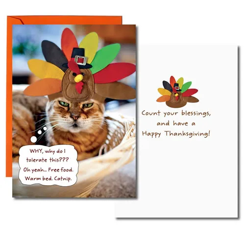Sellers Publishing Thanksgiving TG3079E wenskaarten 3 stuks kat