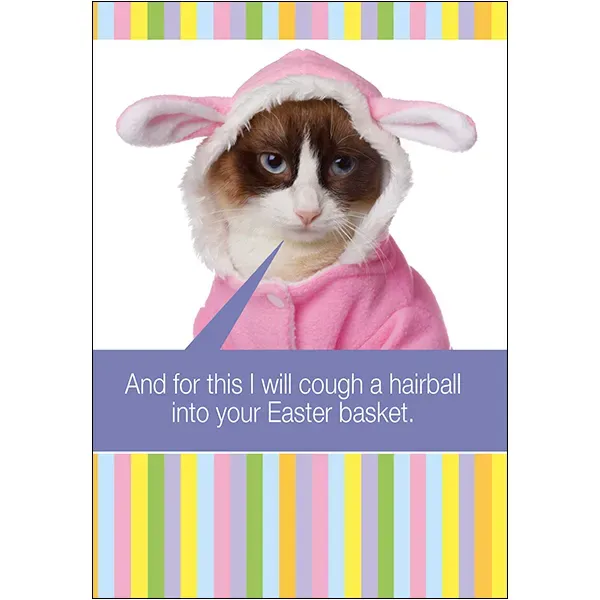 Sellers Publishing Easter Humor E3587A paaskaarten 3 stuks grappig